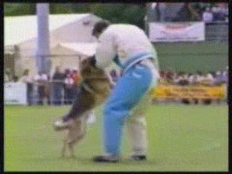 Le puy 1999 part 2