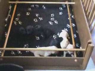 Kaly - Portée A - 25.04.2009_1