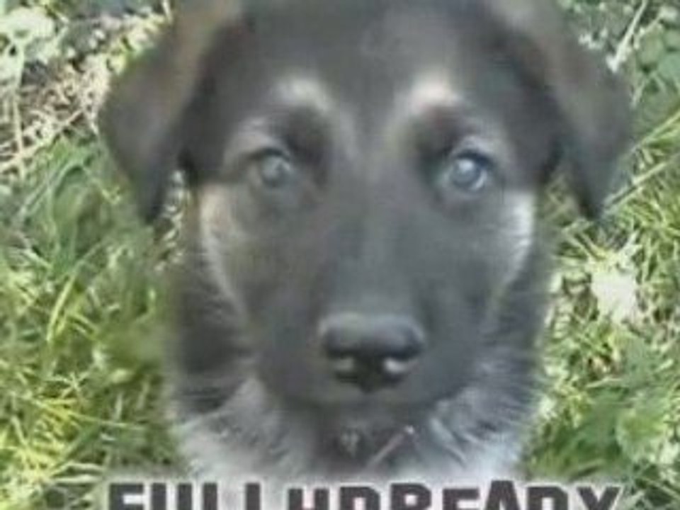 Jonathan toujours introuvable [news] Fr2 250409