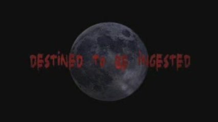 Trailer - Trailer