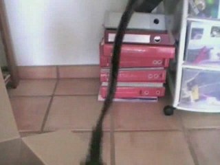 Camescope JVC Everio HDD