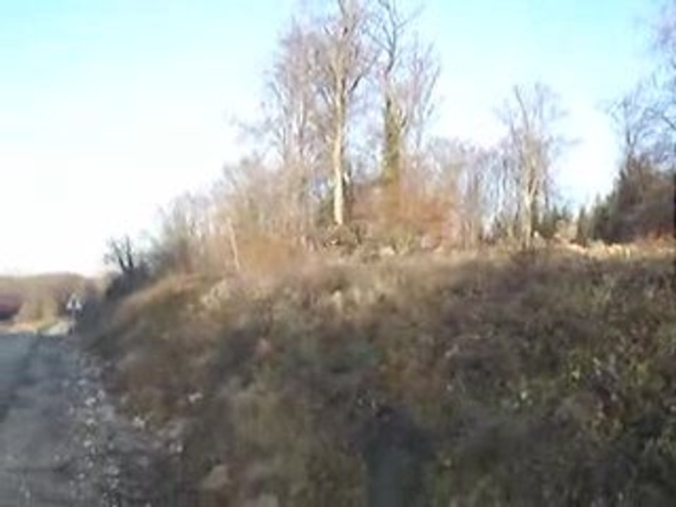 °¤ Real Commando ¤°