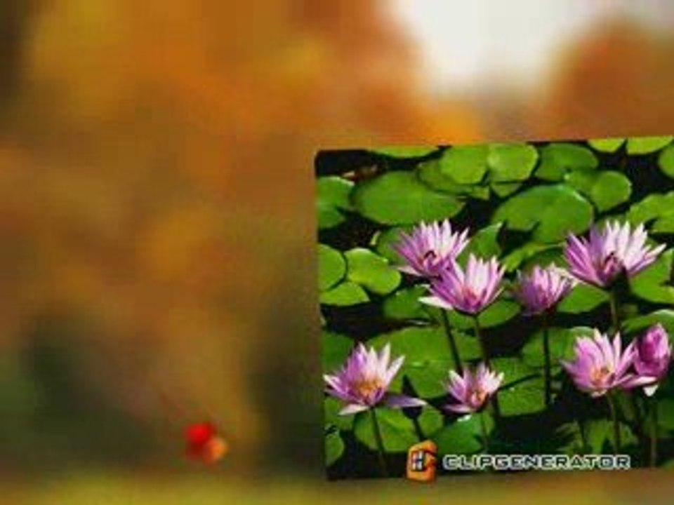Cool Flowers