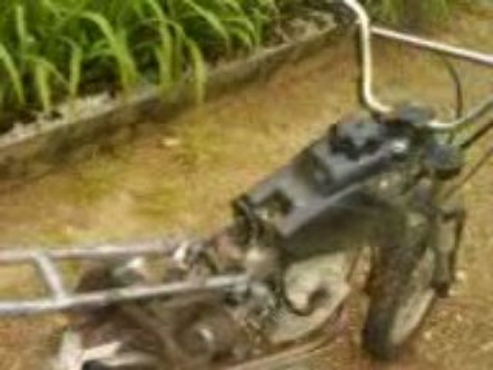 ma dirt san la cartouche du pot