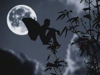 Toute une vie sans toi