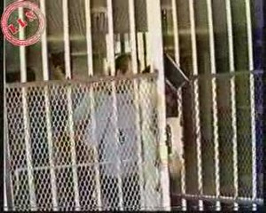 Archives Affaire Guy Orsoni Interpellations Partie 04