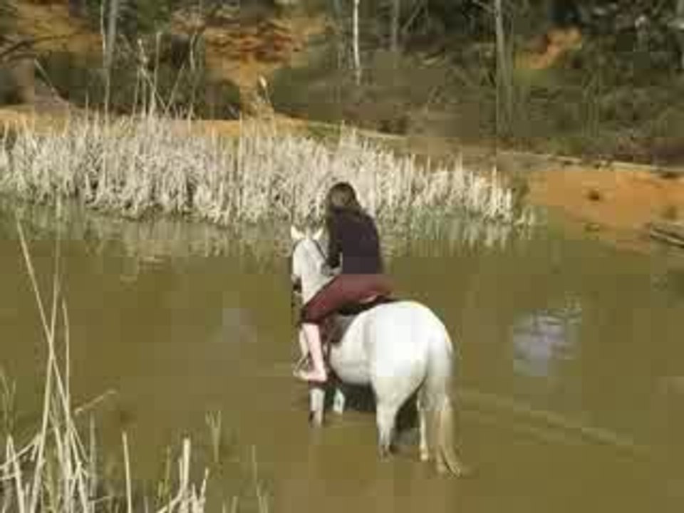 Laure et habib