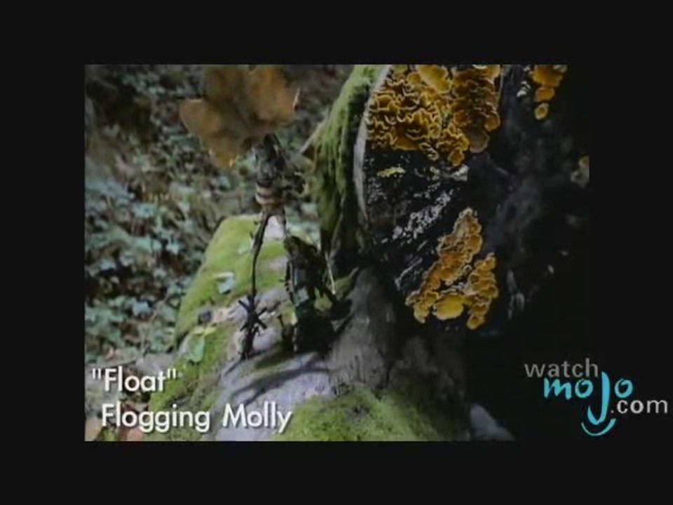 Interview With Bob Schmidt of Flogging Molly