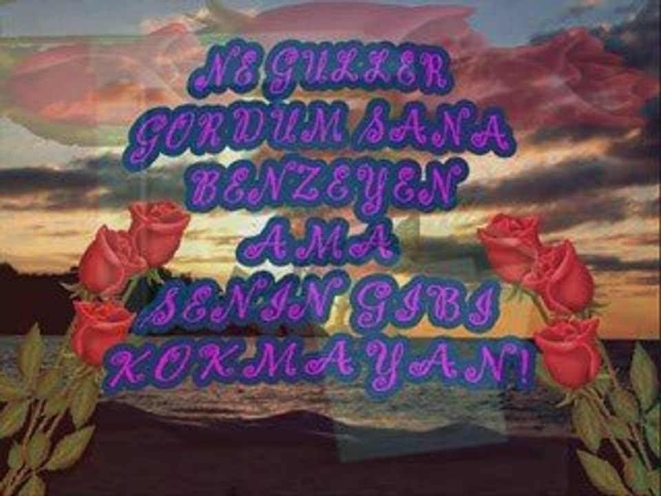 Sinan Özen - Kapına Kırmızı Bir Gül Bıraktım