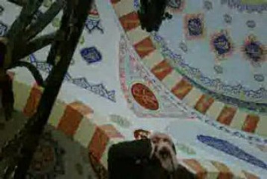 Mekke Ezanı Ali Mullah Taklidi-Muhammed Emin MERT