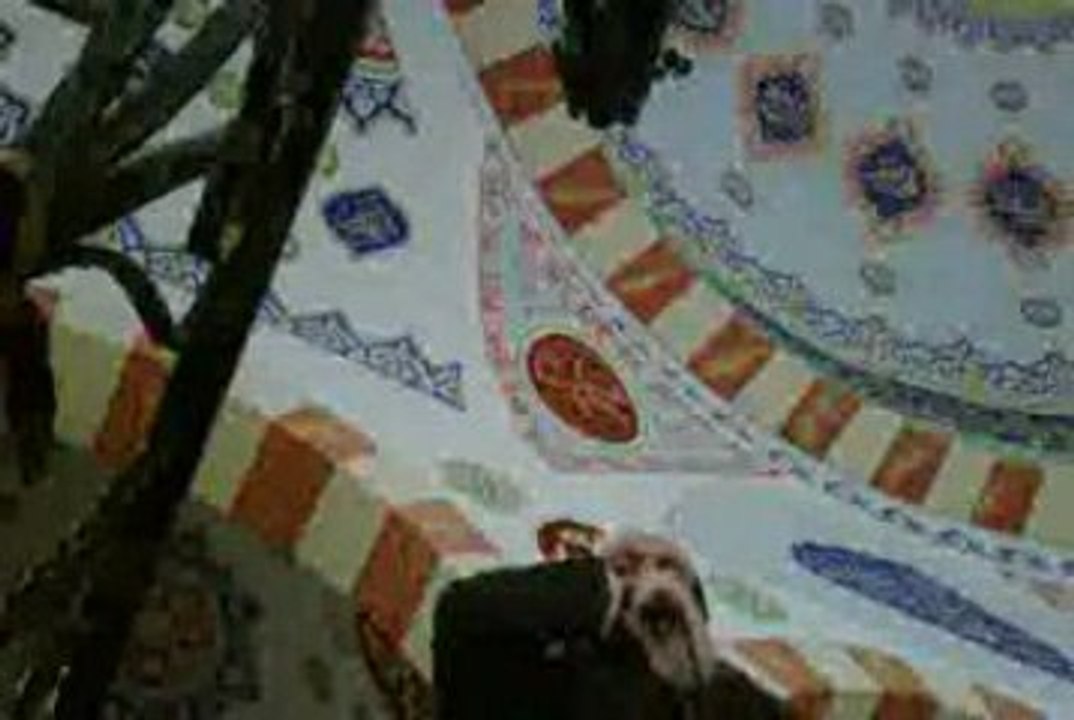 Mekke Ezanı Ali Mullah Taklidi-Muhammed Emin MERT