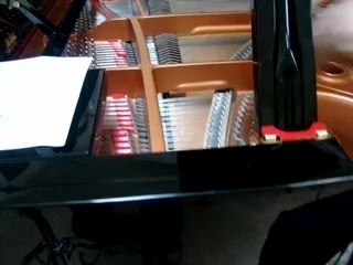 Proyecto CO4 promo 1 ensayos