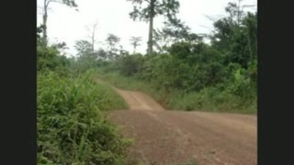 SC 2 evo 6 "pagès" 21ème rallye de Gagnoa 09 ( 2 angles )