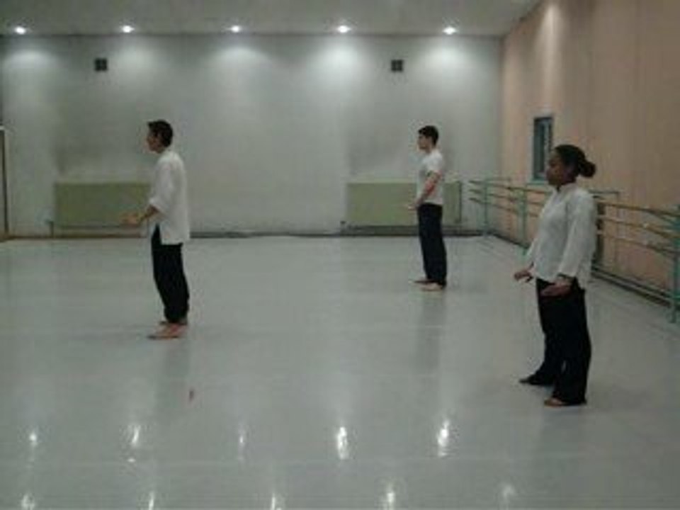 TAO WU XI BAFA