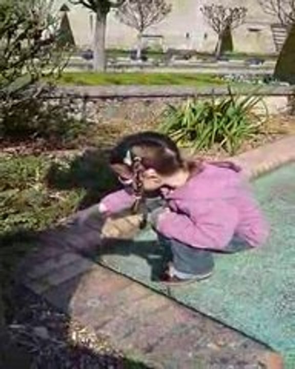 Mathilde et les fourmis