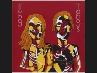 Animal collective - summertime clothes