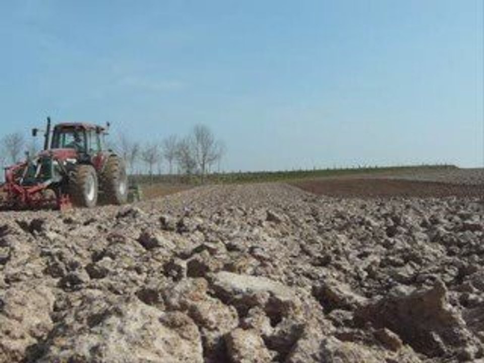 Déchaumage et semi 2009