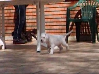 Premier sortie jardin