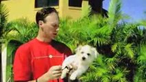 Puppy Obedience Training Secrets