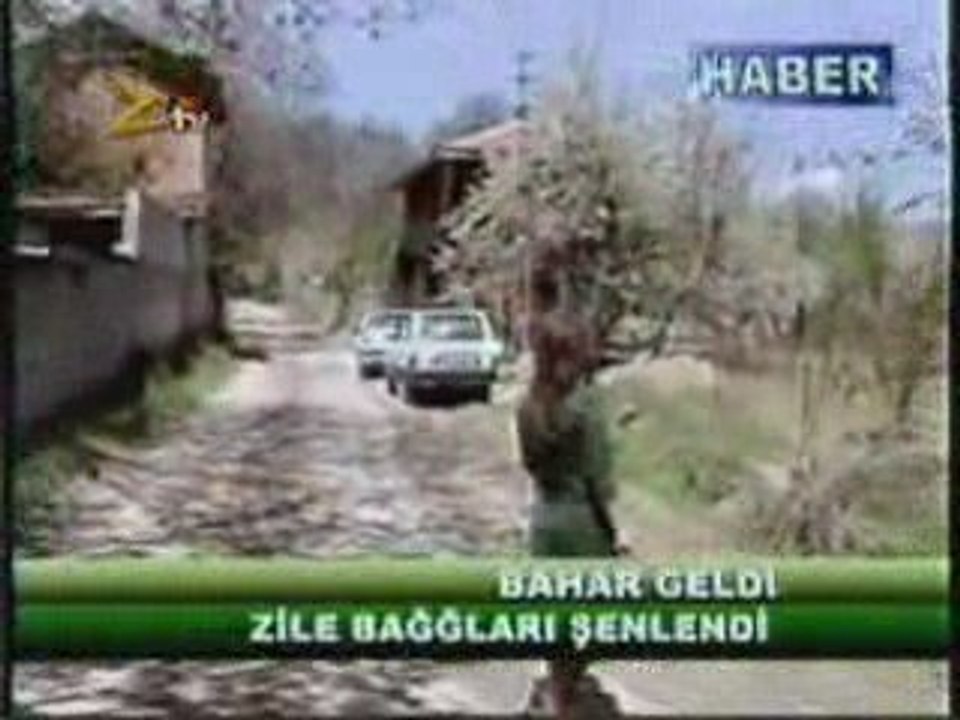 ZİLE BAĞLARI ŞENLENDİ