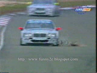 **Extremely Rabbit Gets Hit By A Race Car**