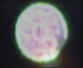 Tether STS-75 like UFO's filmed in the UK Video