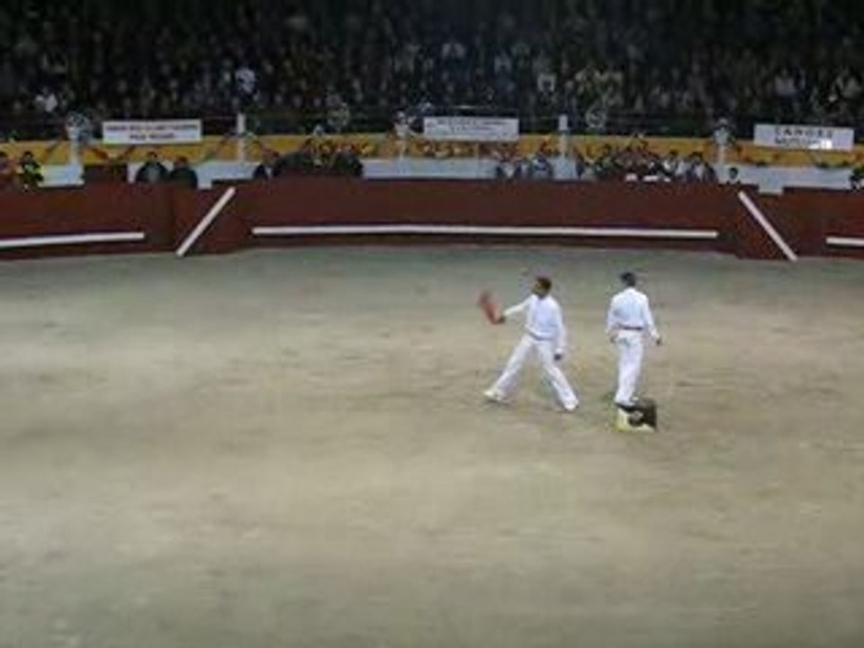 Festival Art et Courage, Pomarez, 25 avril 2009