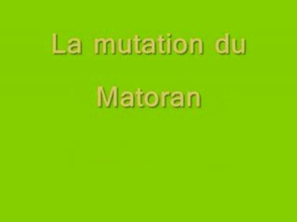 Mutation du Matoran