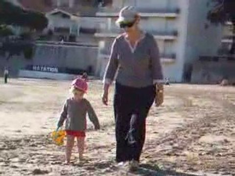 Coquillages sur la plage