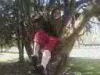 viik et le lion et mort ce soir =/ lol