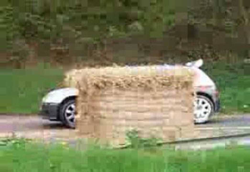 rallye 2009 conde sur noireau clio kit car