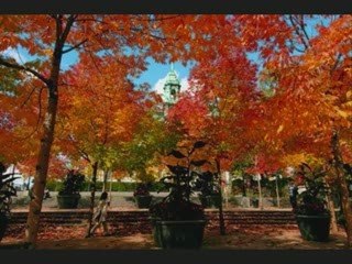 Québec pays de mon coeur