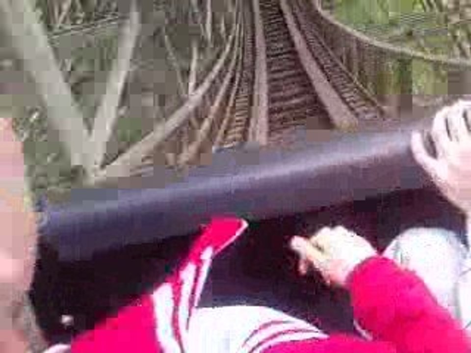 Walibi Anaconda