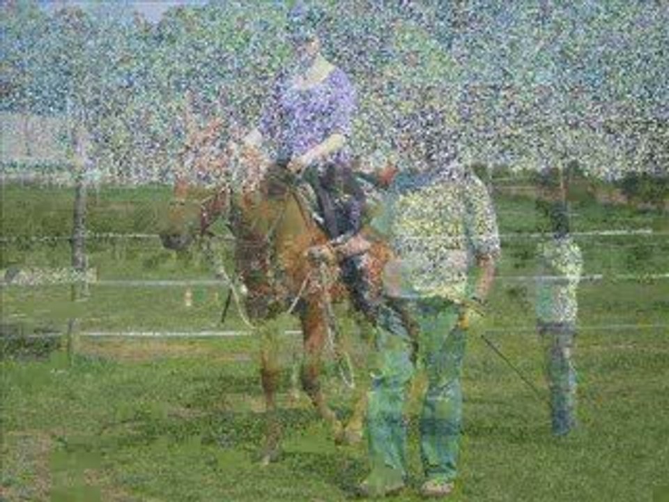 Debourrage de toffy et tess