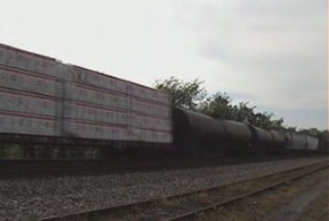 NS 388