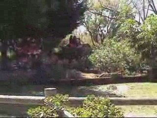 Mars Hill Children's Ministry - Santa Ana Zoo field trip
