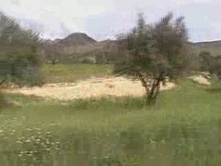 takfarinas &Aymazighan&