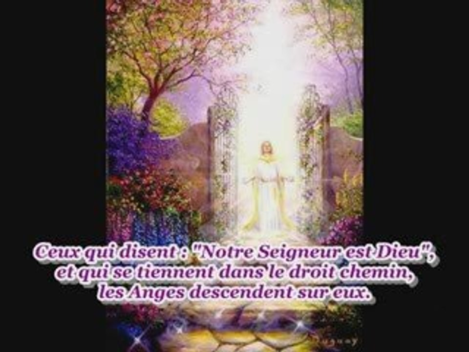 Sourate 41 Les versets détaillés récitée par Sahl Yassin