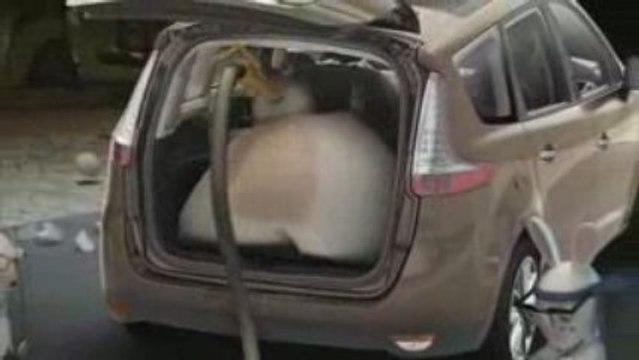 LES LAPINS CRETINS TEST DU GRAND SCENIC TEST 01