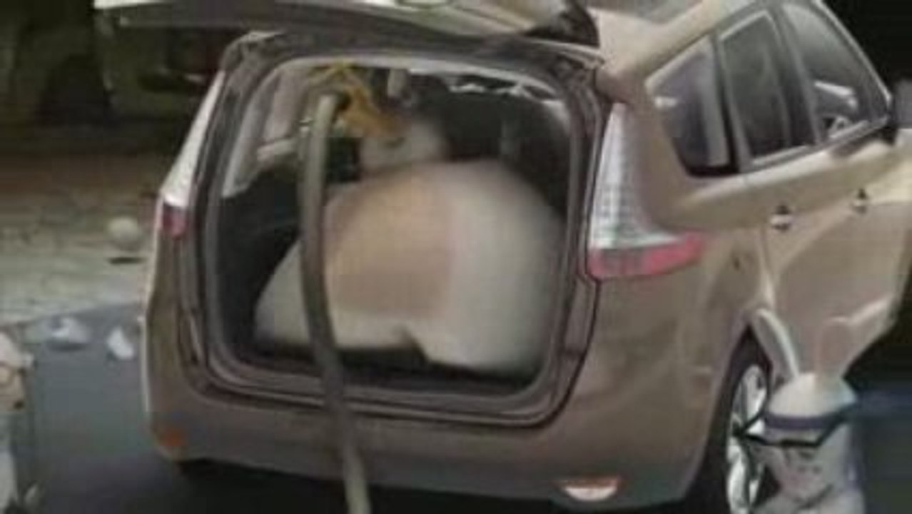 LES LAPINS CRETINS TEST DU GRAND SCENIC TEST 01