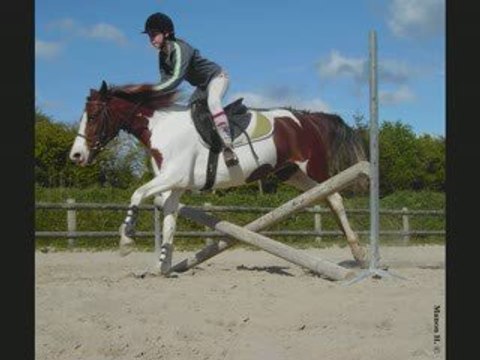 Cours de saut ~ Pauline & Habanera / Pardo & Yannis