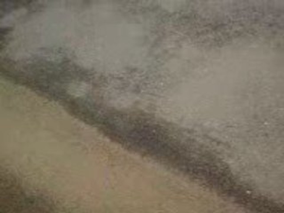 f12 stage6race VS nitro mk pro race