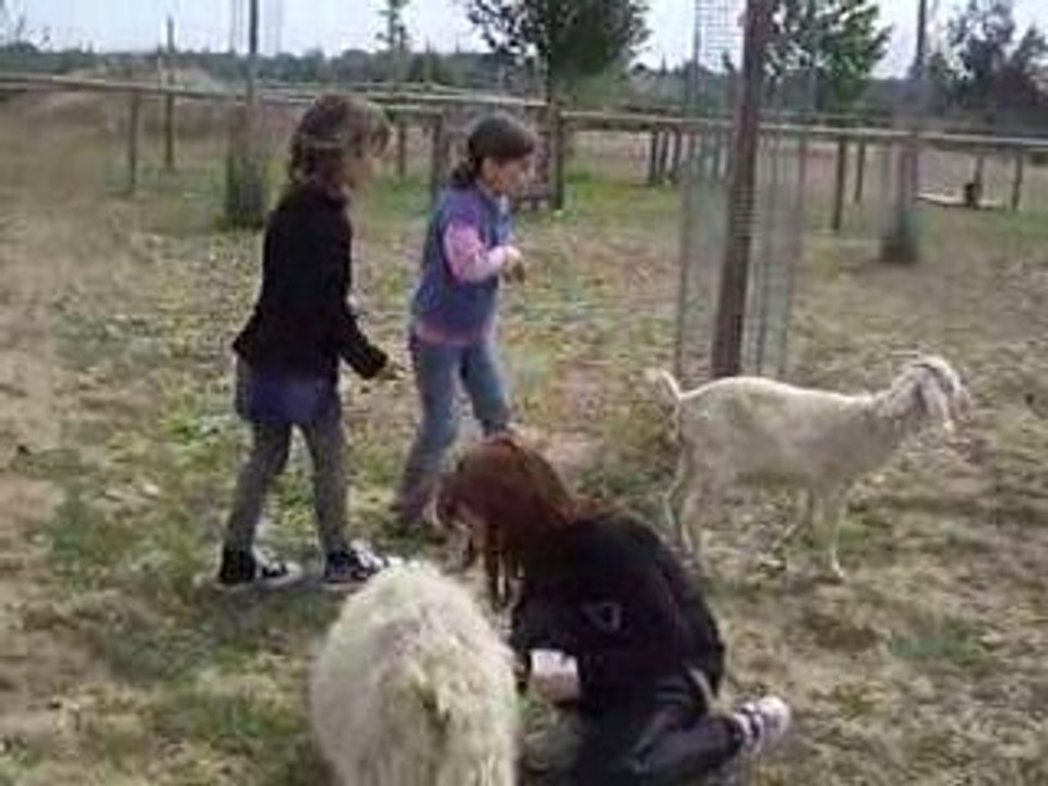 FETE ANNIVERSAIRE CHEVRES 25 AVRIL 2009