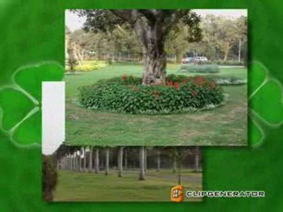 Indian Garden