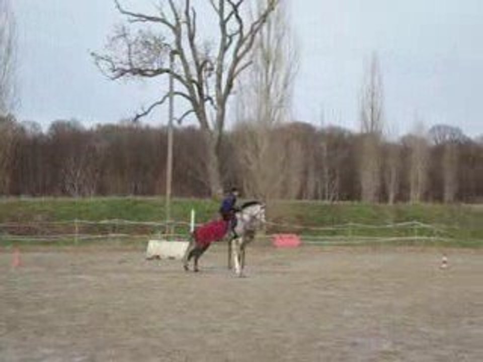 Cours de CSO 24 janvier 2009 Croix-Vertical