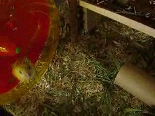 Humm la bonne montre