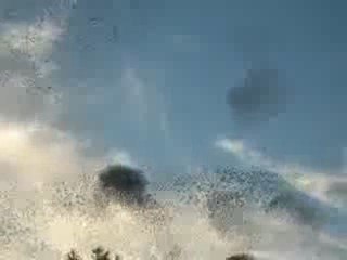 Crazy birds formation