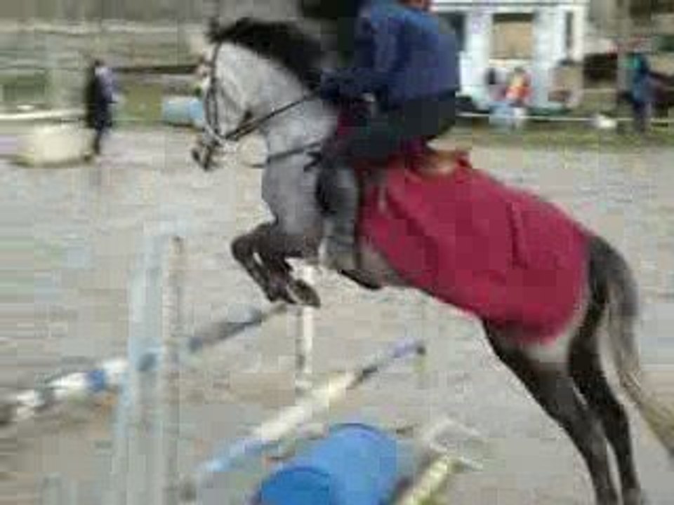 Cours de CSO du 24 janvier 2009 Enchainement