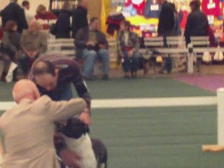 cacs chateauroux 2009