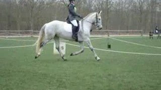 Concours Vincennes - 22.03.09 - Dressage